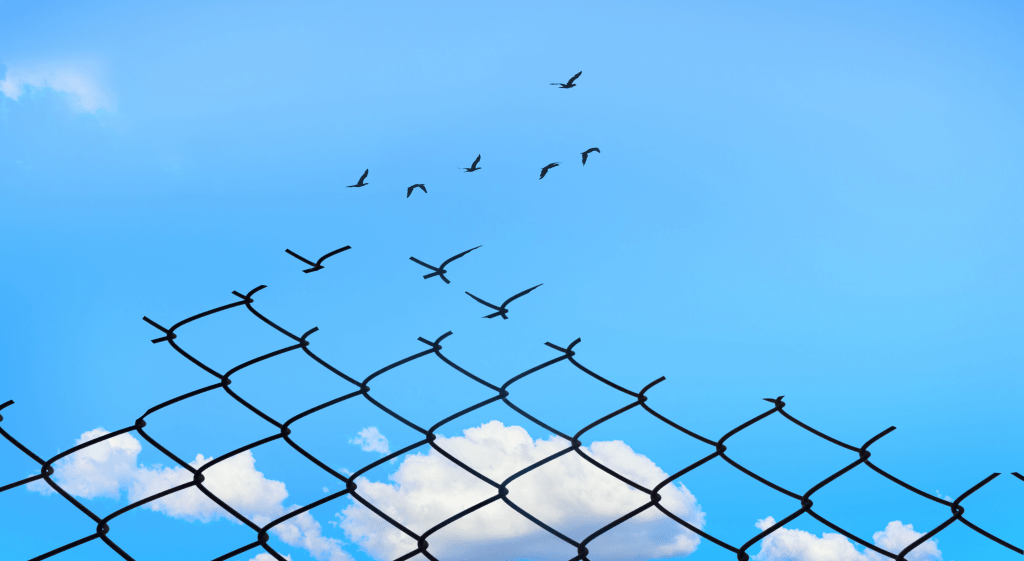 A person who challenges concepts comes up with&nbsp;alternatives.