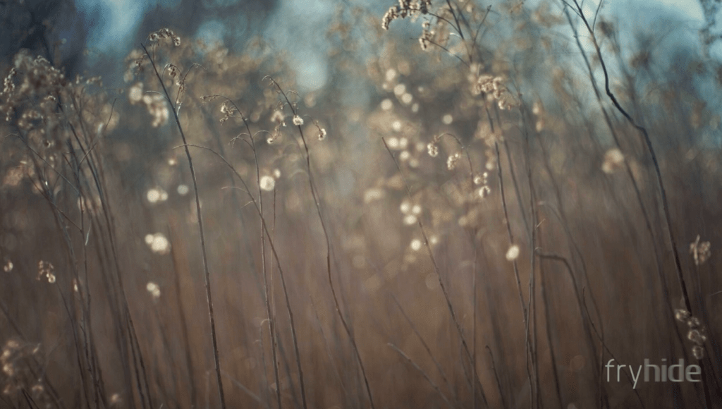 HOSH – The Watergate Affair (feat.&nbsp;GHEIST)