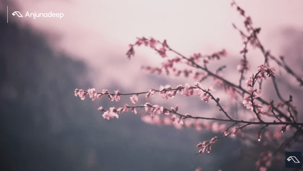 ‘Spring Soundtrack’ presented by&nbsp;Anjunadeep