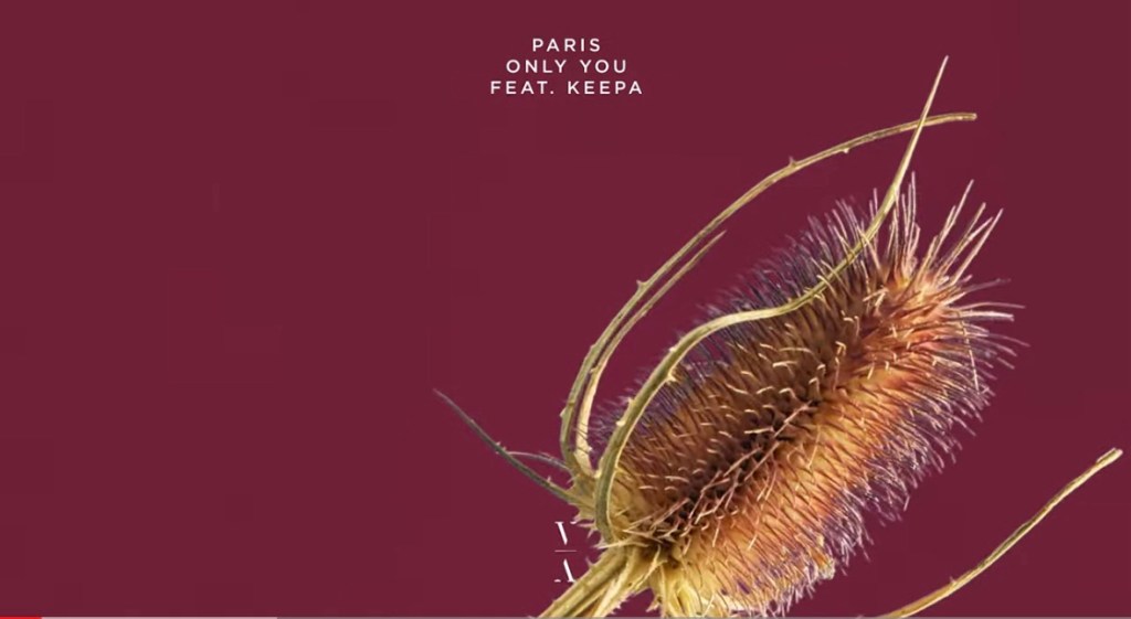 PARIS – Only You Feat.&nbsp;Keepa