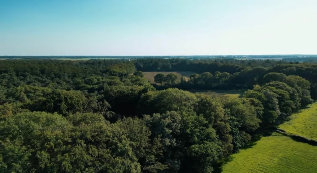 Uplifting Feel Good Melodic House Music Mix at Heart of the&nbsp;Forest