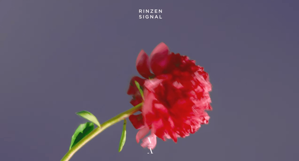 Rinzen –  Signal