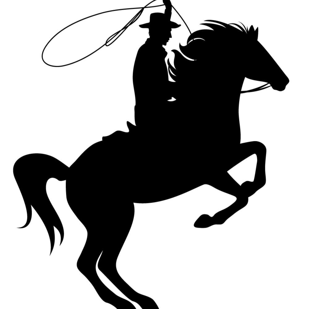 Bill attempts, but fails, to lasso her because of interference by&nbsp;Widow-Maker