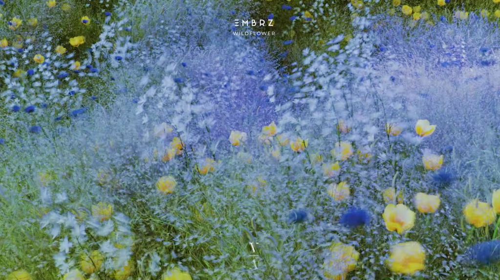 EMBRZ – Wildflower