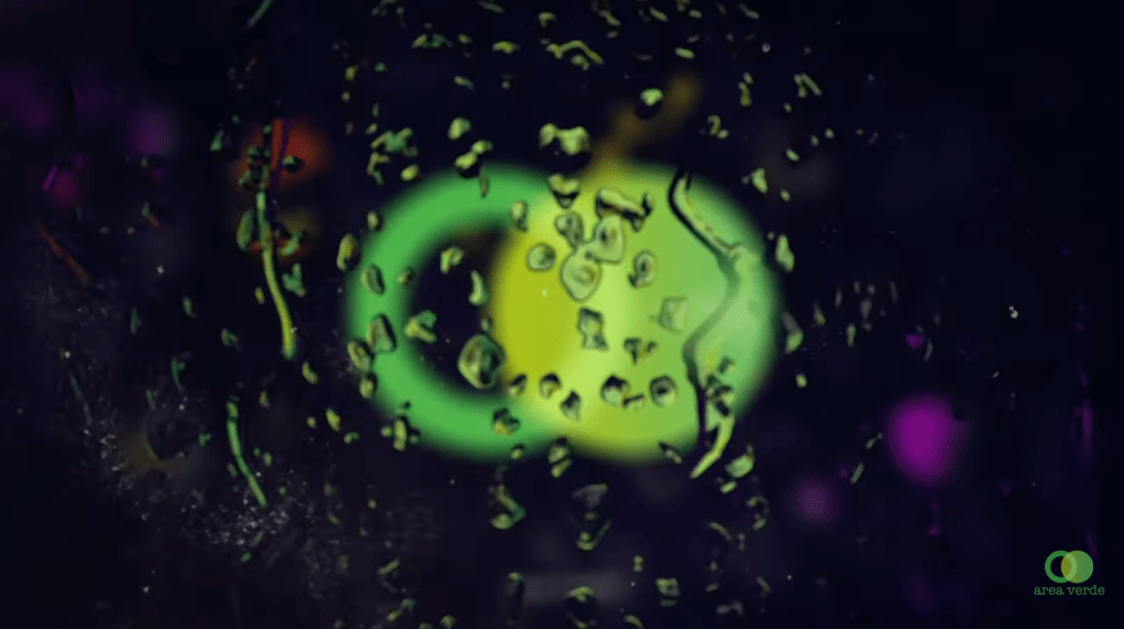 Cityburn, Pernambuco (BR) – Surrender (Original Mix) // Area&nbsp;Verde