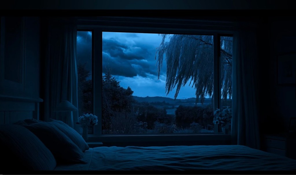 quiet night for me&nbsp;alone