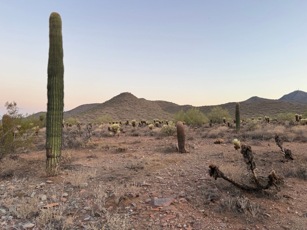Ancient religion was healthcare with a&nbsp;halo.