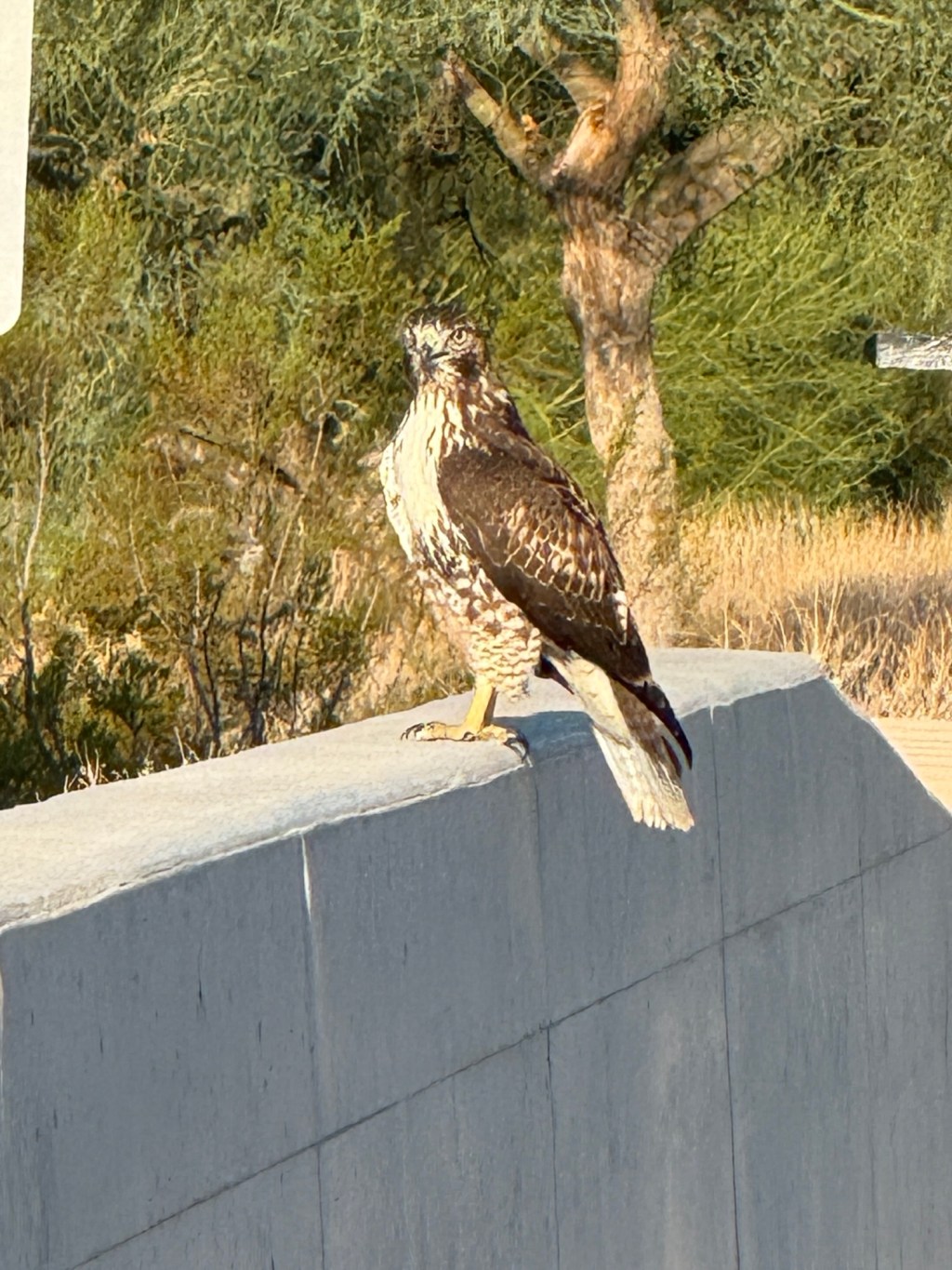 Achievement is a&nbsp;Moment