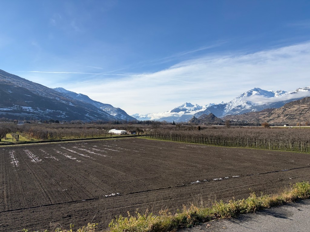 there are two distinct “Kings” (and a Queen) of the&nbsp;region