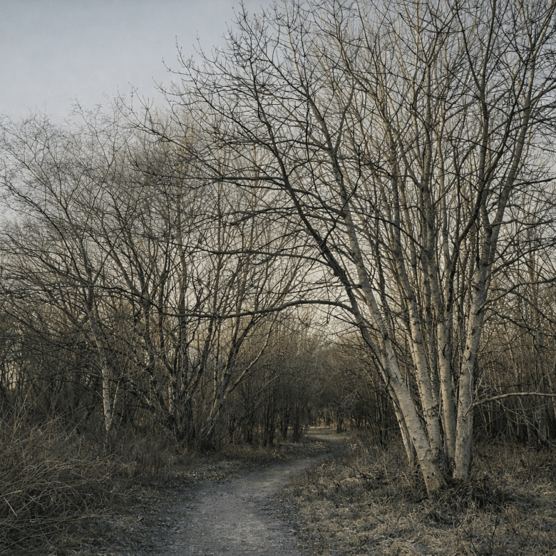 When sensation is absent, there is no&nbsp;doubt