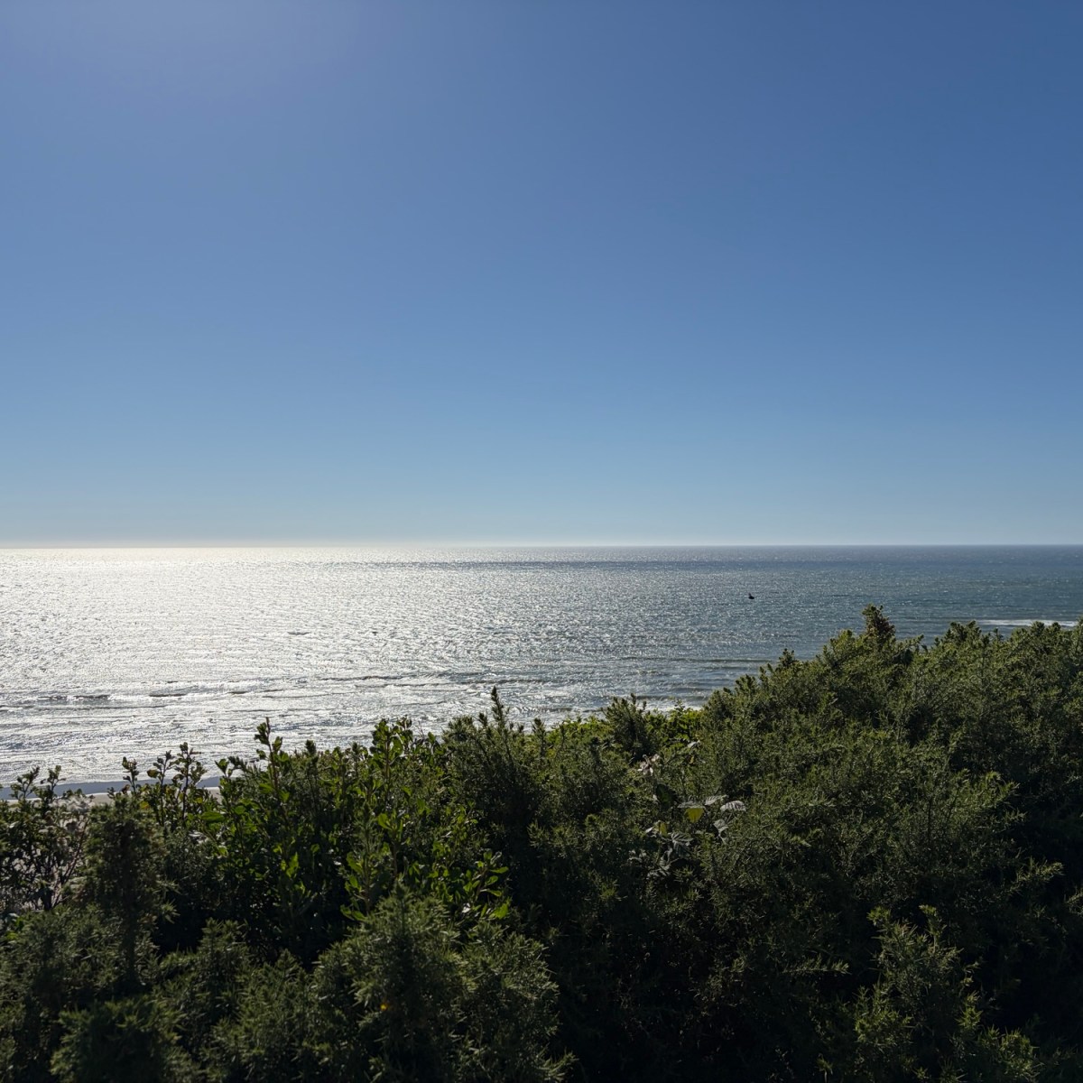 Pacific, 17:29 — the day loosens into&nbsp;silver.