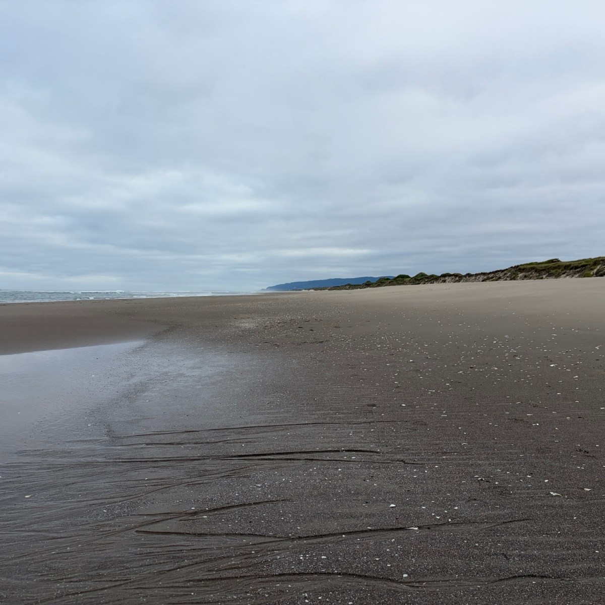 To build a dune&nbsp;system